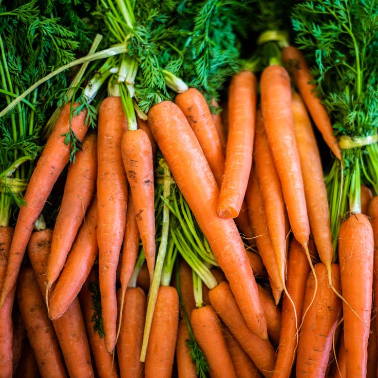Khasiat Wortel untuk Kesehatan Mata